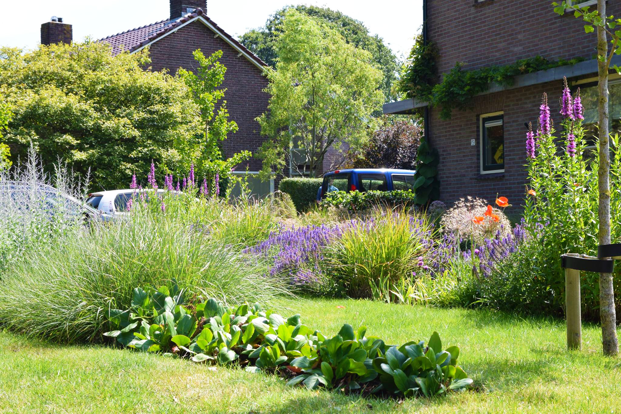 Duurzaamste tuin van Nederland Snoek Puur Groen